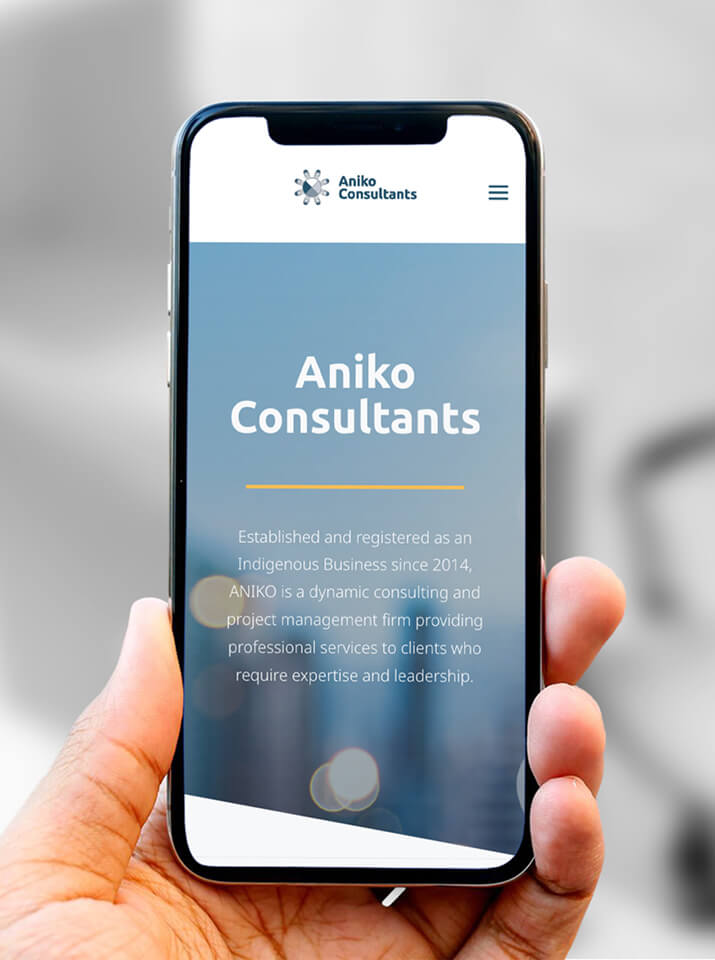 aniko consultants